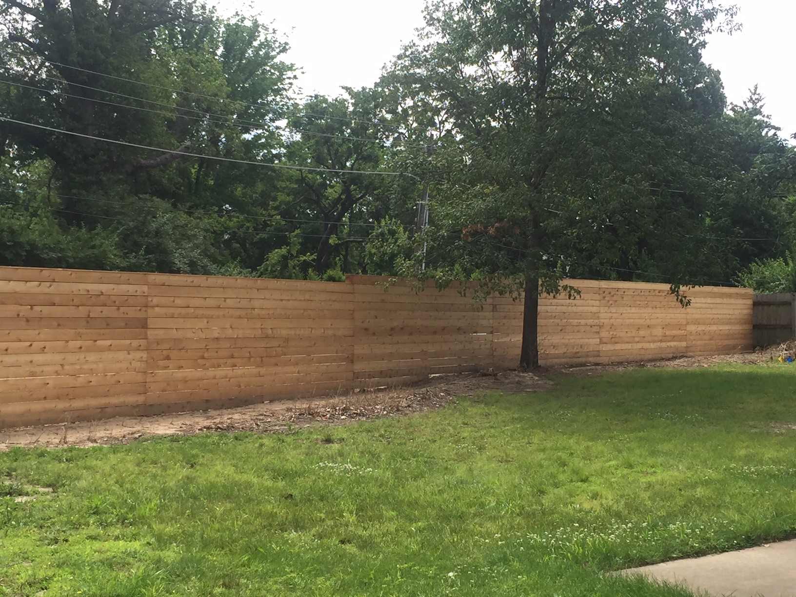 Cedar Fencing