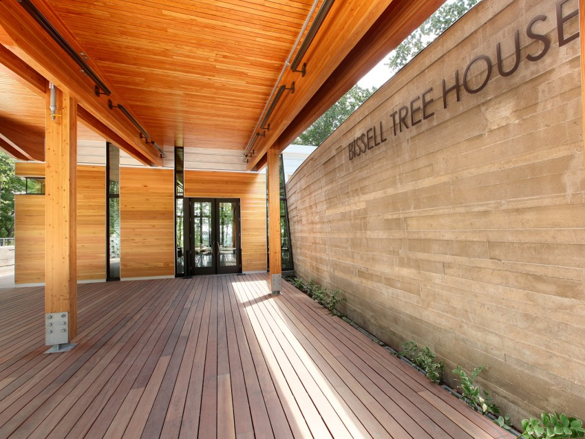 Bissell Tree House 1